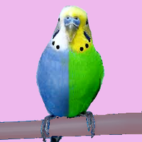 🌊 🕵🏼💼 ⚡►Terry Harper◄⚡