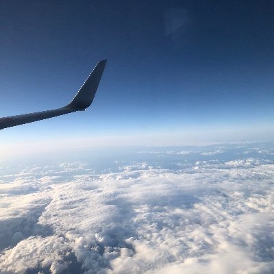 あずきなこ　戦争反対・自由な空を望みます