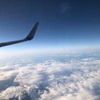 あずきなこ　戦争反対・自由な空を望みます