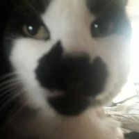 Melmer😻♋🇲🇽