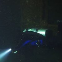 ChisJeon 🇰🇷🇺🇦