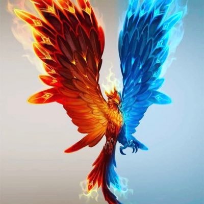 aslı azime aydıner