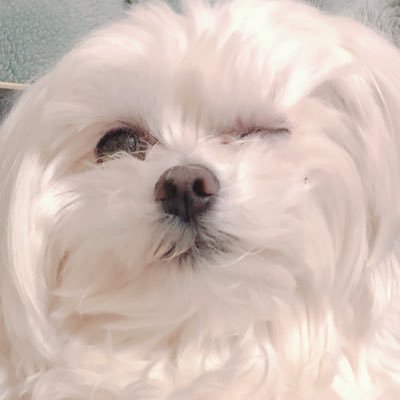 うごんば☺ノベルアンソロ6/10