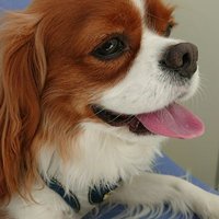 とも🍀これからもずっと大好き🍀