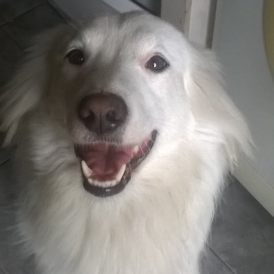 Gloria Roxana 🇦🇷⭐⭐⭐PBXXIII