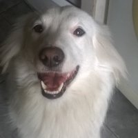 Gloria Roxana 🇦🇷⭐⭐⭐PBXXIII