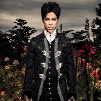 Si Thompson ⭐️⭐️