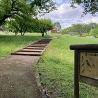 号外NET 八王子　feetandhead