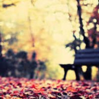 大谷翔平&MLB情報速報【n.a】