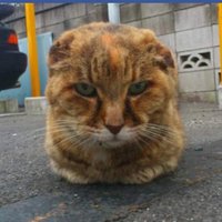 KOUENJI ROCK'N'ROLL DRUNKERS CLUB