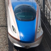 ホワイトリング