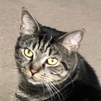 My RP life with Mr Gerry.