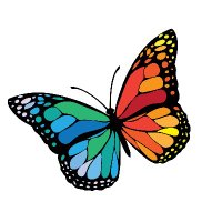 The Catalyst Network