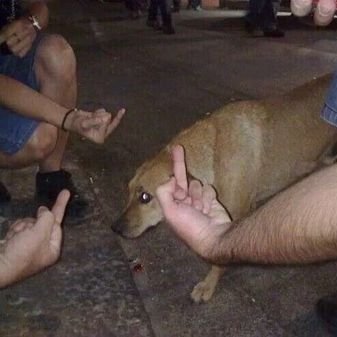 Saint Fisi the III 🌊