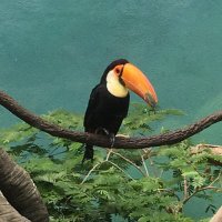 Thoughts & Prayers 😷💙🌺🇹🇹🇺🇸