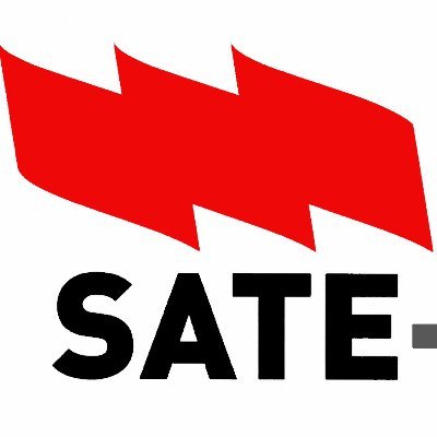 SATE-STEs