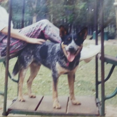 Lorraine@lorraine70 Save our planet.