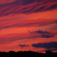 MillG (blue rondo a la czech)