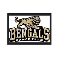 Oak Forest Dance Team