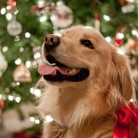 Meiguo☮️🇺🇲🇺🇦Stand With Ukraine 🇺🇦🇺🇲🌊