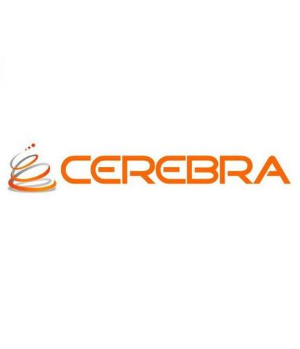 Cerebra Consulting