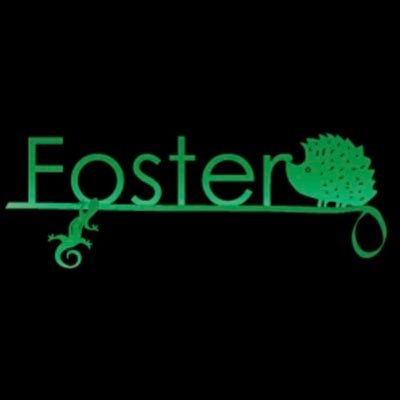Foster