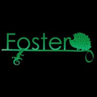 Foster