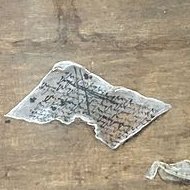 Anty Bąkiewicz Matecki Nawrocki