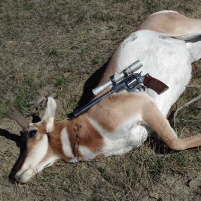 Robert Jones 🇺🇸