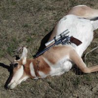 Robert Jones 🇺🇸