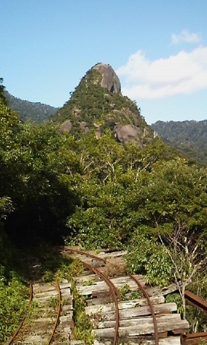 屋久島旅人ガイドの太田さん