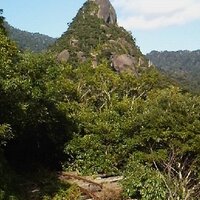 屋久島旅人ガイドの太田さん