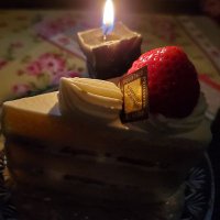 雪夢(ゆきゆめ)