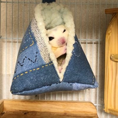 くわぁんたろう。