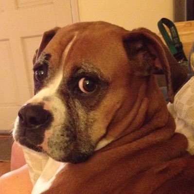 𝐋𝐞𝐬 𝐋𝐮𝐤𝐚𝐜𝐡