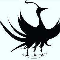 사주정치술(융합사주학,생년월일시사상체질,만성병난치병 생약처방전, 천명의학,의역학) !