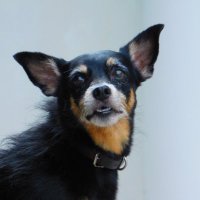 Miguel Linares (PySab)