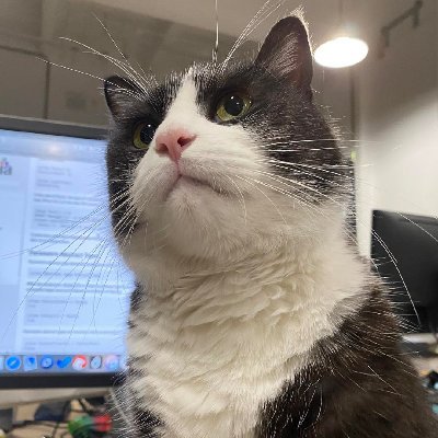 由三途川回來的土方君