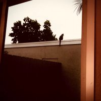 why are you selling bitcoin?