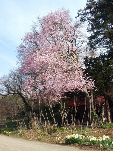 会津のはてから💙💛