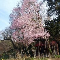 会津のはてから💙💛