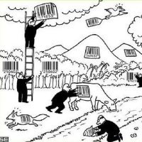 MassavanaSatoriWabi-Sabi