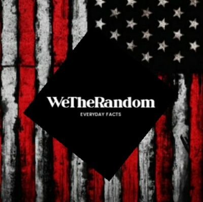 We The Random