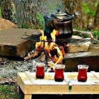 adsız kuzeyden gelen adam.