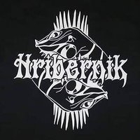 Hribernik Skateboards