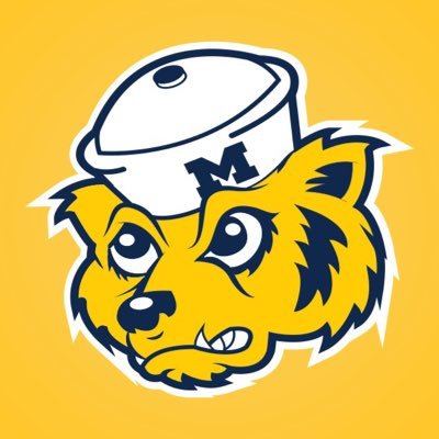 The Majors Ann Arbor 〽️