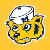 The Majors Ann Arbor 〽️