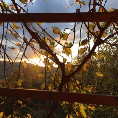 Mar(tin) Jan(…)🇸🇮; 🚴🏽‍♂️⛷🎾⛵️, 🇺🇦❤️