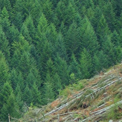 Helsinki Uni Doctoral Students' Annual Conference