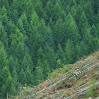 Helsinki Uni Doctoral Students' Annual Conference